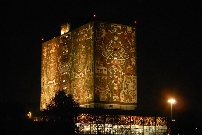 Xochimilco, Coyoacan and Frida Kahlo Museum Tour - The Value and Limitations of the Tour Package