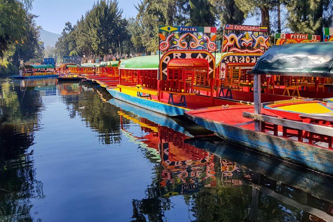 Xochimilco, Coyoacan, Aztec Stadium & UNAM - Key Points