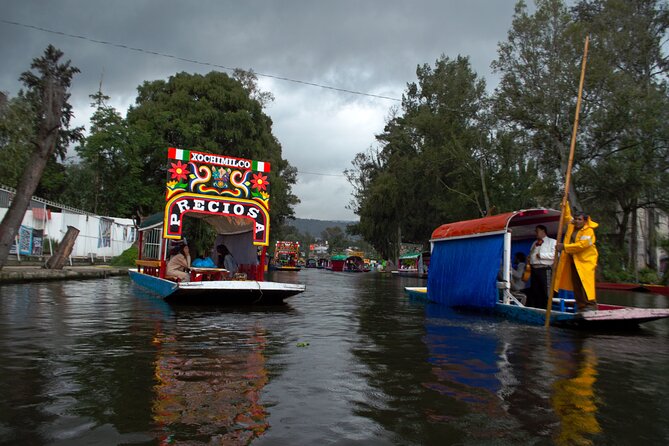 Xochimilco, Coyoacán & Ciudad Universitaria Tour - Explore Mexico Citys Artistic and Cultural Landmarks in One Private Tour