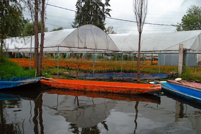Xochimilco, Coyoacán & Ciudad Universitaria Tour - Strolling Through the Historic Streets of Coyoacán