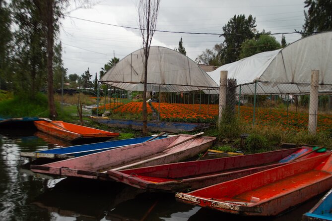 Xochimilco, Coyoacán & Ciudad Universitaria Tour - Who Will Appreciate This Tour Most