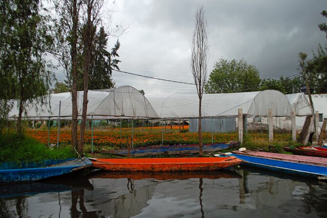Xochimilco, Coyoacán & Ciudad Universitaria Tour - The Experience Provider: VANNTOUR