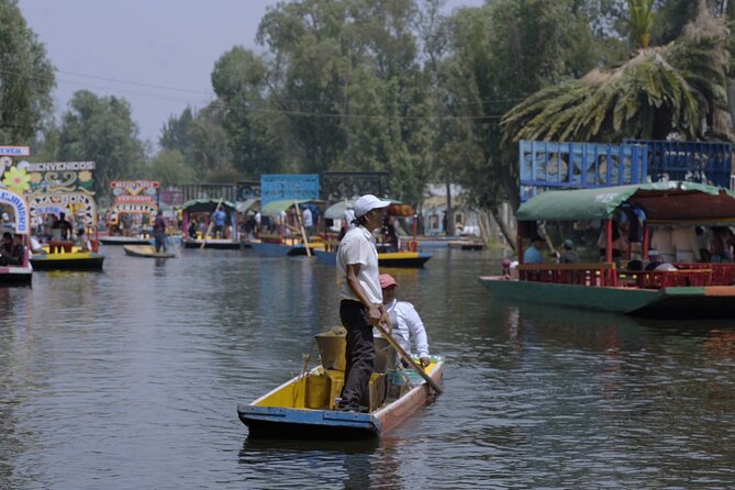 Xochimilco, Coyoacán & Ciudad Universitaria Tour - Final Thoughts on the Xochimilco, Coyoacán & Ciudad Universitaria Tour