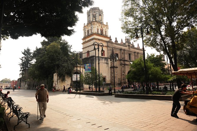 Xochimilco, Coyoacan, Frida Kahlo Museum & Artistic Murals - Value and Overall Impression