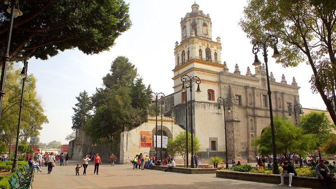 XOCHIMILCO & COYOACAN (Private) - Potential Drawbacks and Challenges