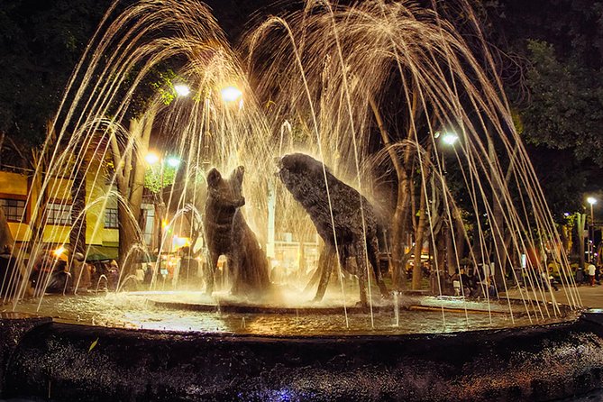 XOCHIMILCO & COYOACAN (Private) - Who Should Choose This Tour?