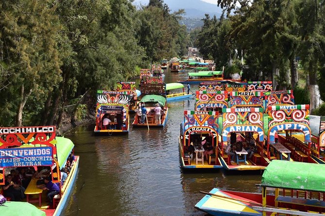 XOCHIMILCO & COYOACAN (Private) - Final Thoughts on the Xochimilco & Coyoacan Tour