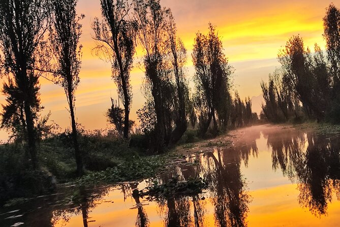 Xochimilco Ecotourism at Dawn in Canoe and Organic Breakfast - Discover Xochimilco’s Dawn Canoe Ride and Organic Breakfast