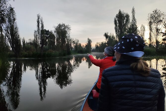 Xochimilco Ecotourism at Dawn in Canoe and Organic Breakfast - The Organic Breakfast from Regional Harvests