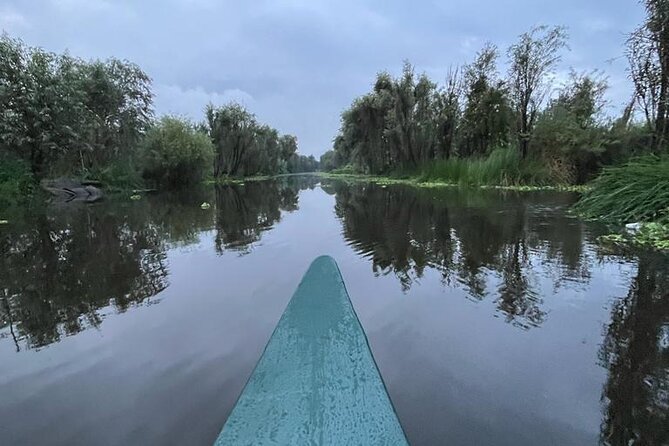Xochimilco Ecotourism at Dawn in Canoe and Organic Breakfast - The Guide and the Overall Experience