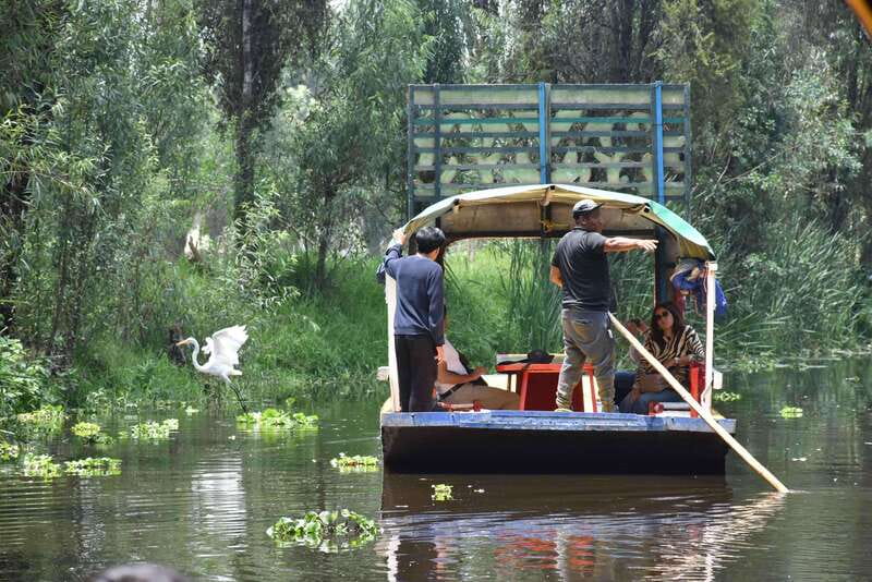 Xochimilco Serene: A Calm Cultural Escape from the Crowds - Exploring the Serene Canals of Xochimilcos Ecological Reserve