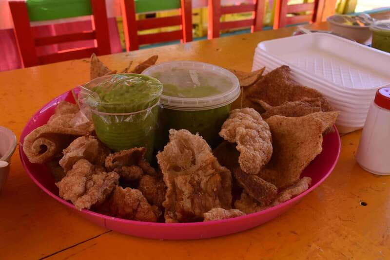 Xochimilco Serene: A Calm Cultural Escape from the Crowds - Visiting the Axolotl Sanctuary and Native Wildlife Observation