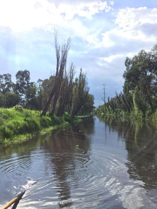 Xochimilco Serene: A Calm Cultural Escape from the Crowds - Balancing Tranquility and Cultural Depth
