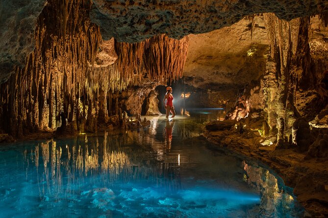 Xplor Wild Adventure with Unlimited Snacks and Buffet - Key Points