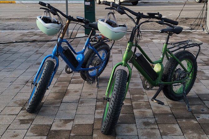 Xtreme Ebike jungle and cenote tour - Swimming in a Secluded Cenote in the Jungle