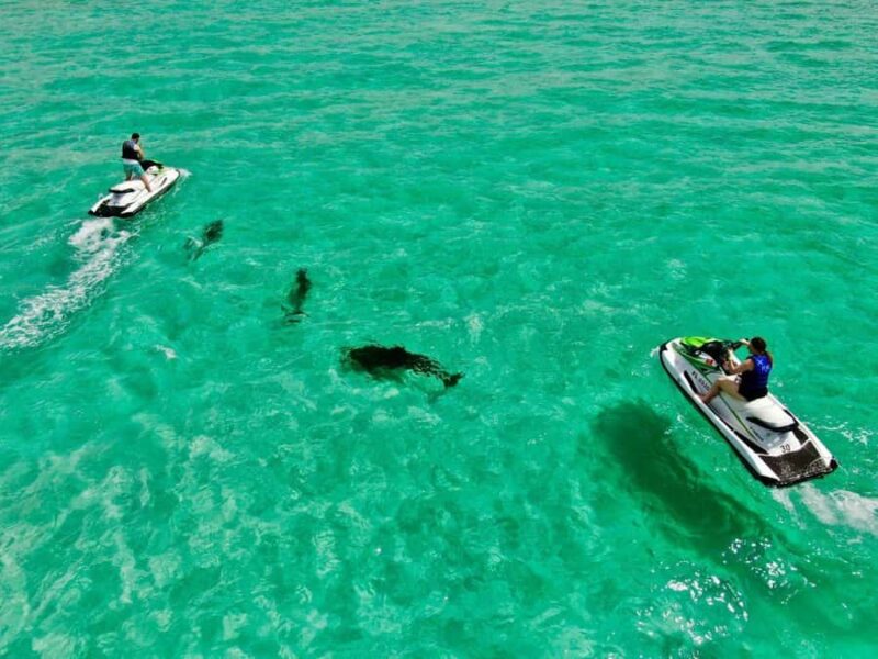 Xtreme H2o Destin: Jet Ski Dolphin Tour - Jet Ski Tour Starts at Destin Marina with Clear Directions