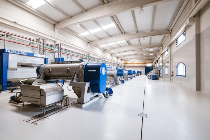 XXI Century Olive Oil Mill Tour - Explore a Modern Olive Oil Mill in Andalusia