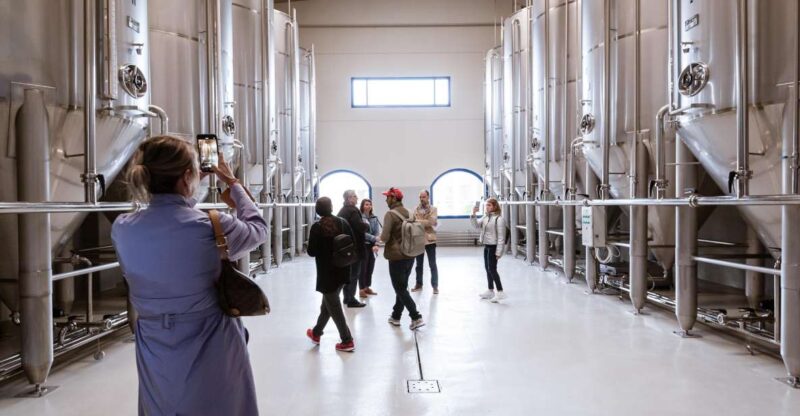 XXI Century Olive Oil Mill Tour - Pricing and Booking Flexibility