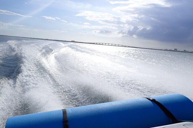 Yacht party cruise in St. Petersburg to Shell Key - Visiting Shell Key Preserve: Florida’s Natural Treasure