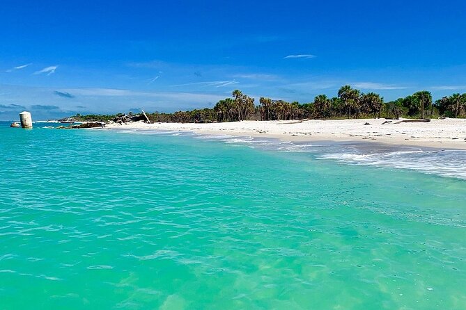 Yacht party cruise in St. Petersburg to Shell Key - Onboard Features: Comfort and Entertainment