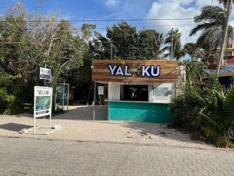 Yalku :Akumal snorkeling Muuch Kay Ecopark - Exploring Muuch Kay Ecopark’s Lagoon and Wildlife