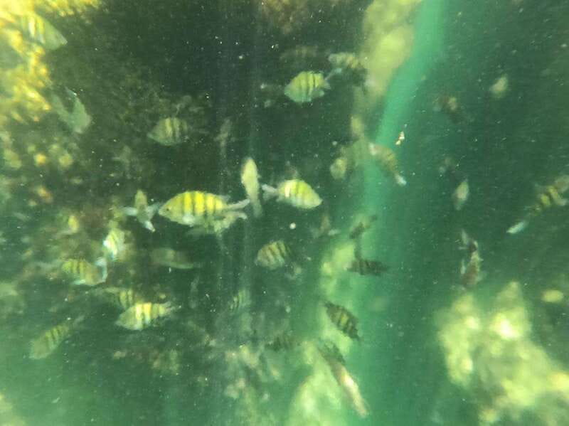 Yalku :Akumal snorkeling Muuch Kay Ecopark - What’s Not Included in the Tour Package