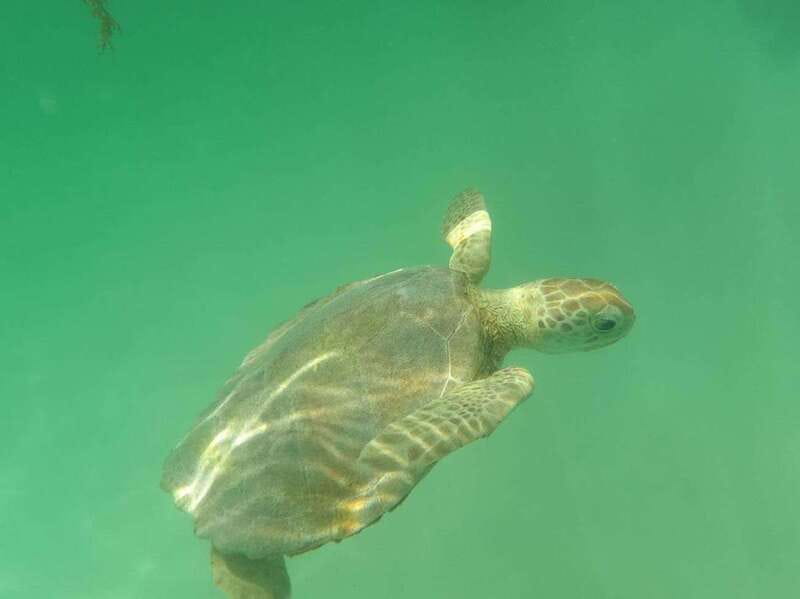 Yalku :Akumal snorkeling Muuch Kay Ecopark - Facilities and Amenities at Yalku Ecopark