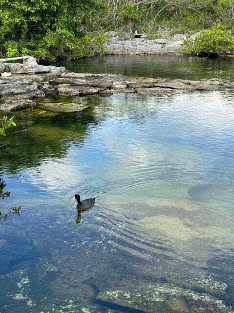 Yalku :Akumal snorkeling Muuch Kay Ecopark - Comparing This Tour to Other Akumal Snorkeling Options