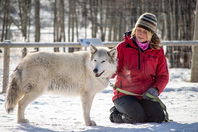 Yamnuska Wolfdog Sanctuary Walk Ticket in Canada - Frequently Asked Questions