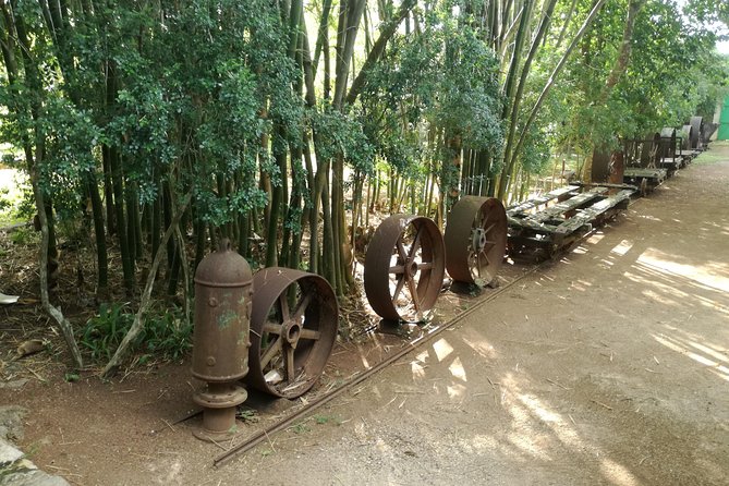 Yaxcopoil Hacienda, Uxmal & Cenote from Merida - All-Inclusive Experience: Guided Tours, Lunch, and Entrance Fees