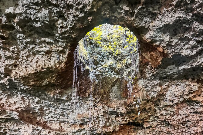 Yaxmuul and the Cenotes of the Mayan Underworld - Accessibility, Timing, and Group Size