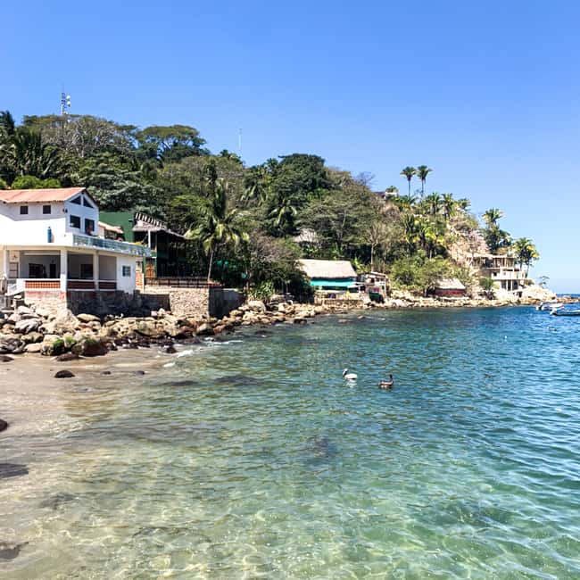 Yelapa Escape & Snorkeling in Puerto Vallarta by Speedboat - Physical Requirements and Safety Considerations