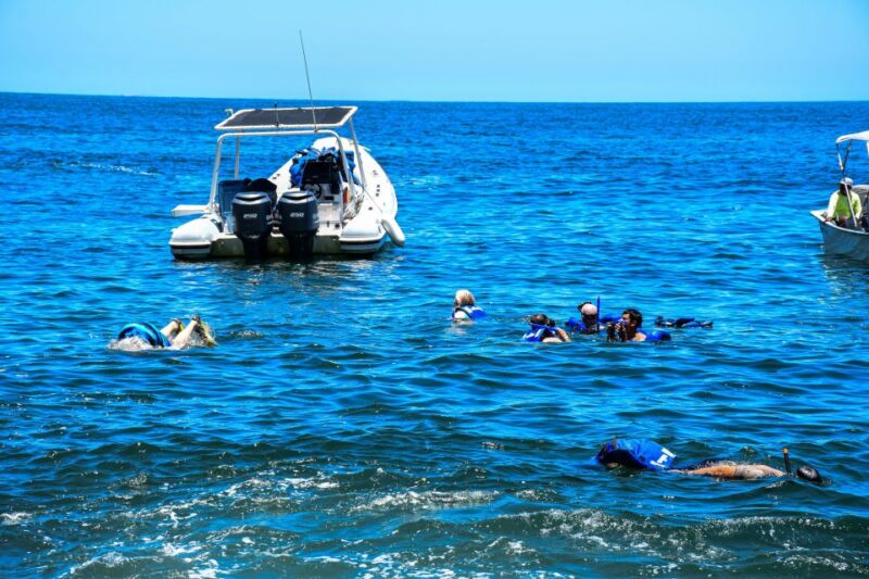 Yelapa Escape & Snorkeling in Puerto Vallarta by Speedboat - Value for Money and Overall Experience