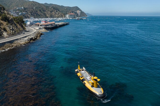 Yellow Semi-Submarine Tour of Catalina Island From Avalon - Discover Catalinas Underwater World in 45 Minutes on the Semi-Submarine