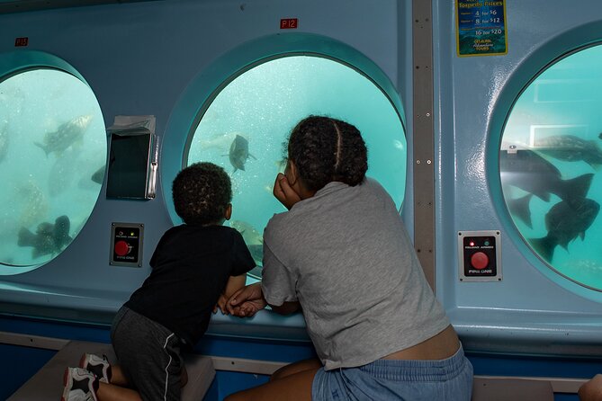 Yellow Semi-Submarine Tour of Catalina Island From Avalon - Weather Considerations and Cancellation Policy