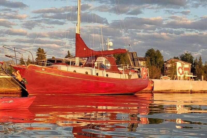 Yellowknife: City Tour - Discovering Local Wildlife at Nature’s North Wildlife Gallery