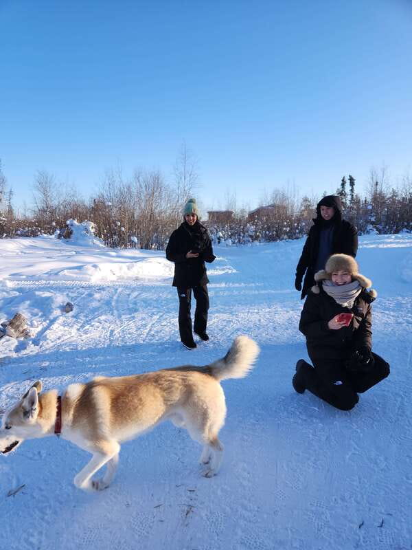 Yellowknife: Dog Sledding Tour - Key Points