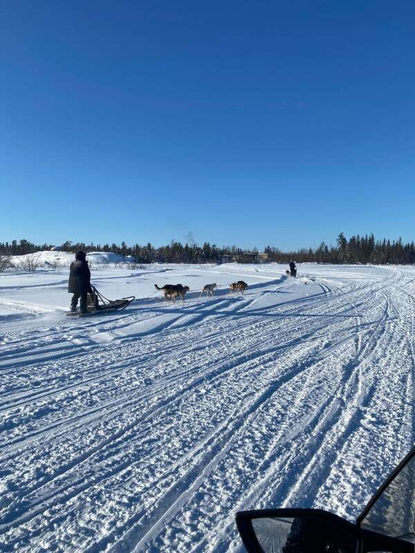 Yellowknife: Dog Sledding Tour - Starting Point and Transportation in Yellowknife