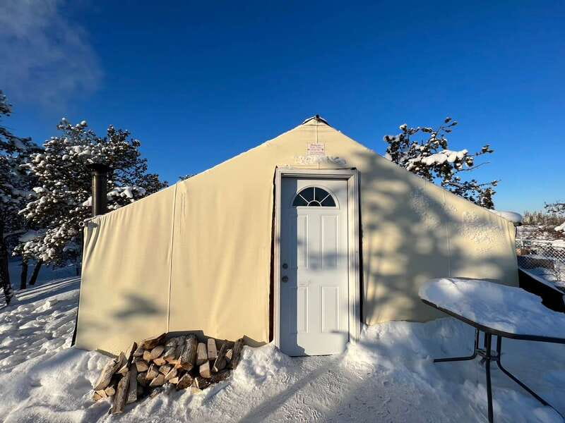 Yellowknife: Dog Sledding Tour - Learning Indigenous Dog Sledding Traditions