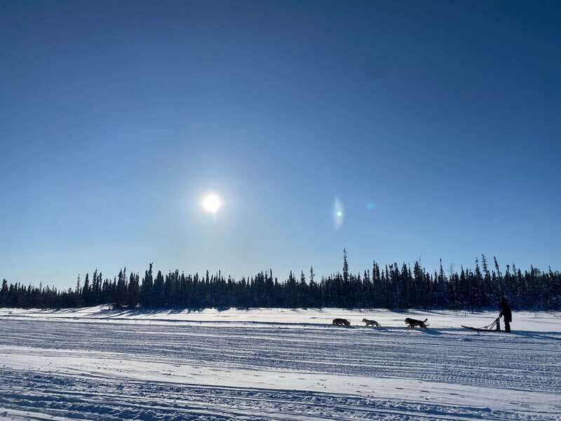 Yellowknife: Dog Sledding Tour - Comfort and Refreshments in the Cabin