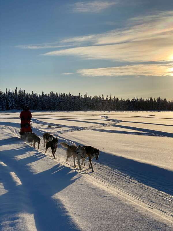 Yellowknife: Dog Sledding Tour - Suitability for Different Visitors