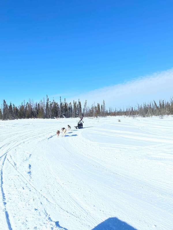 Yellowknife: Dog Sledding Tour - Final Thoughts on the Yellowknife Dog Sledding Tour