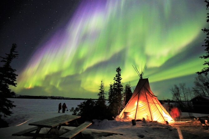 Yellowknife Full Day Tour with Aurora Borealis Northern Light - Starting Point and Logistics in Banff