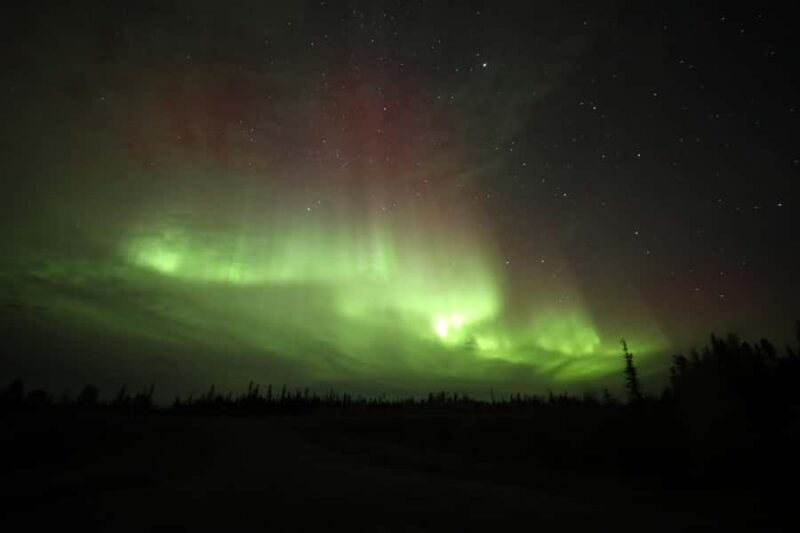 Yellowknife: Northern Lights Chasing Tour by Bus - Cozy Transportation and Warmth