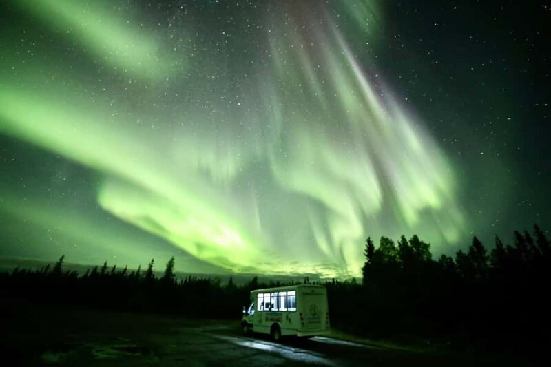 Yellowknife: Northern Lights Chasing Tour by Bus - Expert Guides and Bilingual Service