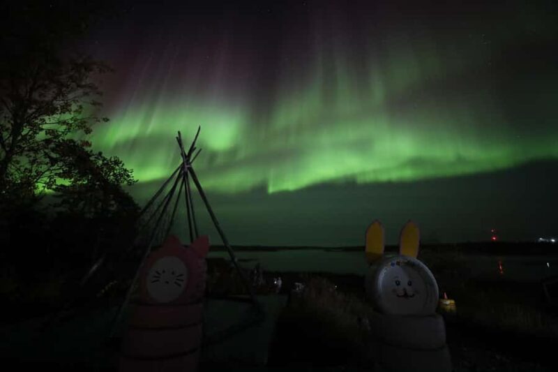 Yellowknife: Northern Lights Chasing Tour by Bus - The Experience’s Strengths and Limitations