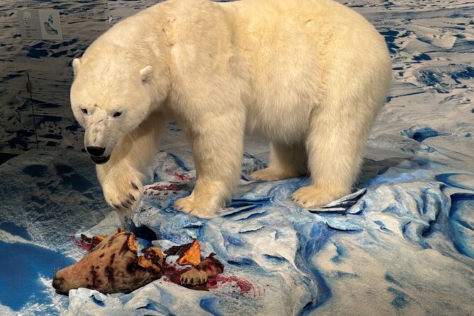 Yellowknife Sightseeing City Tour - Logistics: Meeting Point and Transportation