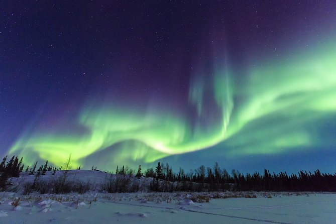 Yellowknife Tours - Aurora by bus - Expert Guides and Photography Assistance