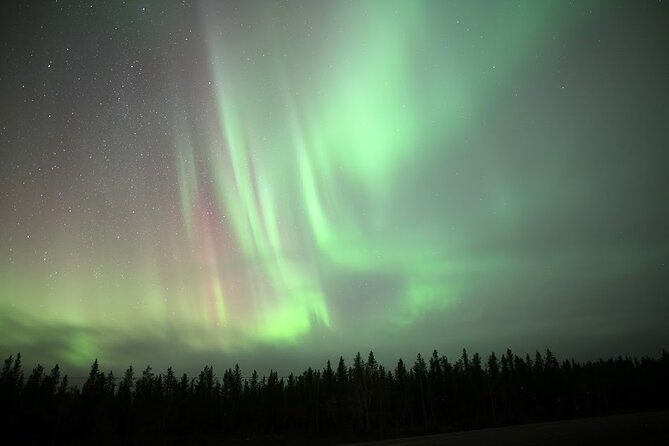 Yellowknife Winter 5 Days 4 Nights: Aurora and Day Activities - Comfort and Practicality: Winter Clothing and Logistics