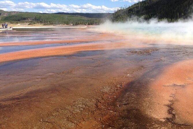 Yellowstone For Kids Family Fun Tour w/PU in West Yellowstone - Exploring Yellowstone’s Iconic Geysers and Hot Springs